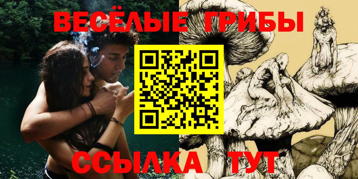 Славянск-на-Кубани  Псилоцибиновые грибы прущие грибы  Вход с VPN 